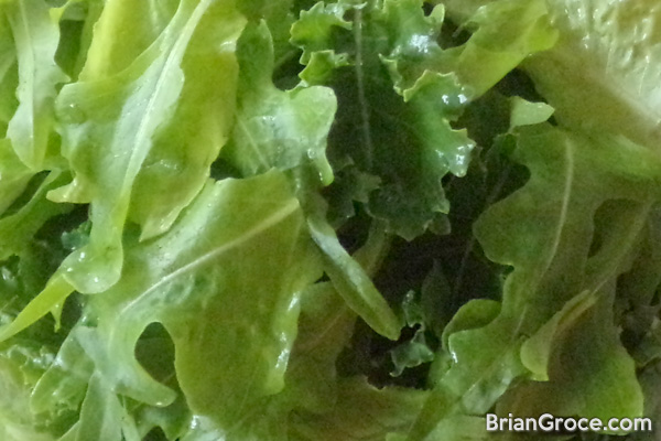 2014-06-08-lettuce
