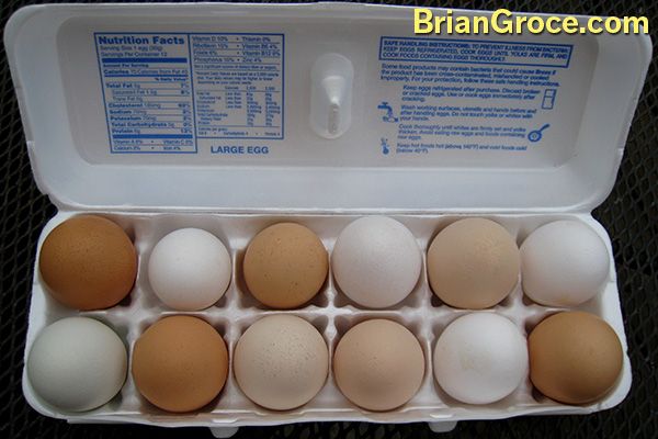 2014-08-02-Free-Range-Eggs